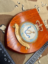 Load image into Gallery viewer, British Royal Air Force RAF Officer Cadet Training Unit Wall Plaque
