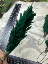 Lade das Bild in den Galerie-Viewer, Genuine British Army Green Hackle / Feather Plume
