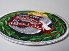 Load image into Gallery viewer, Victory in Europe commemorative badge - 8th May 1945 - Patch Military Patches
