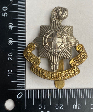 WW1 / WW2 British Army Royal Sussex Regiment white metal and brass cap badge. - The Militaria Shop