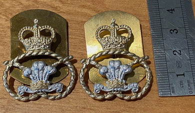 British Army staybrite STAFFORDSHIRE REGIMENT collar badges - The Militaria Shop