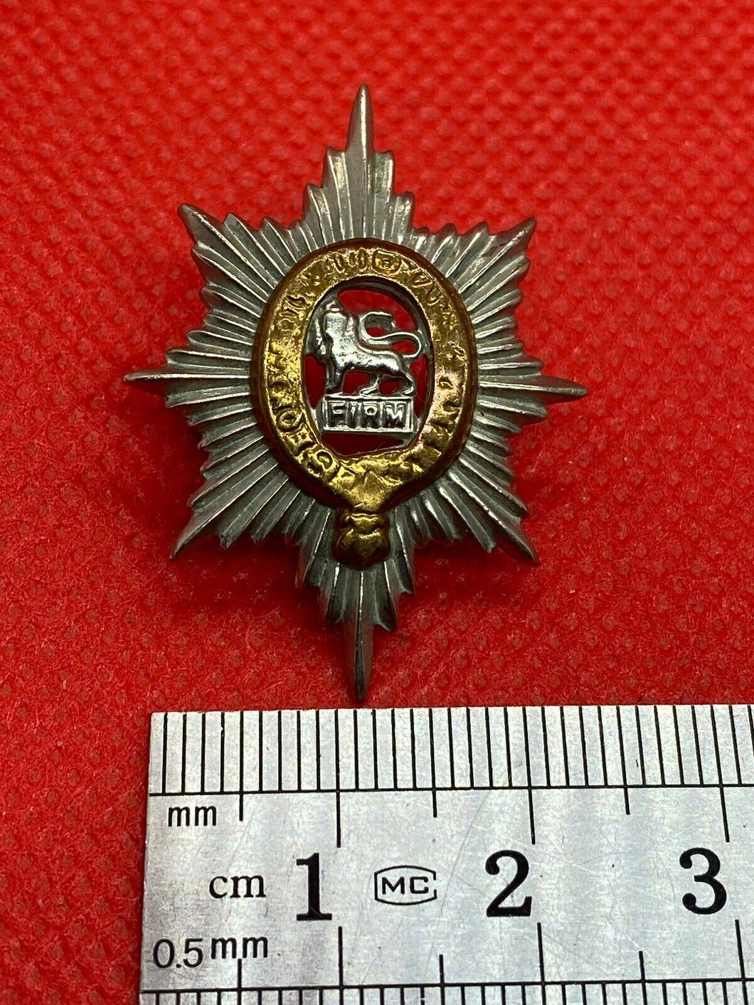 Original British Army Worcestershire Regiment Collar Badge