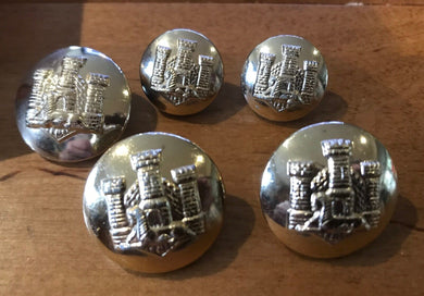 A small group of Devonshire Regiment staybrite buttons            B2 - The Militaria Shop