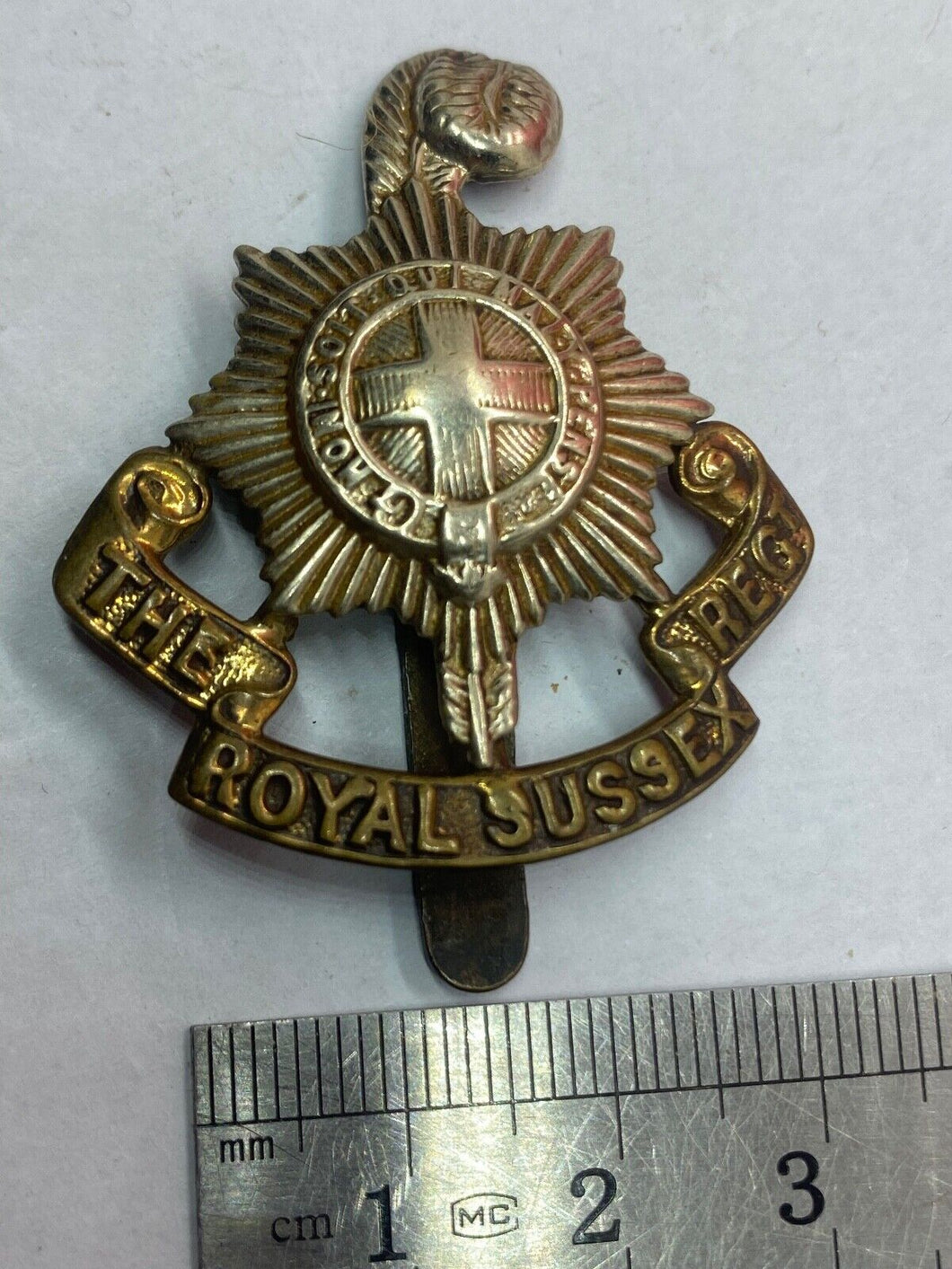 Original British Army - The Royal Sussex Regiment Cap Badge