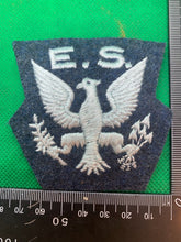 Load image into Gallery viewer, British RAF RCAF Air Force Eagle Squadron Army Badge
