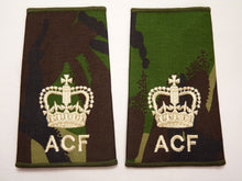 Load image into Gallery viewer, DPM Rank Slides / Epaulette Single Genuine British Army - ACF Warrant Officer
