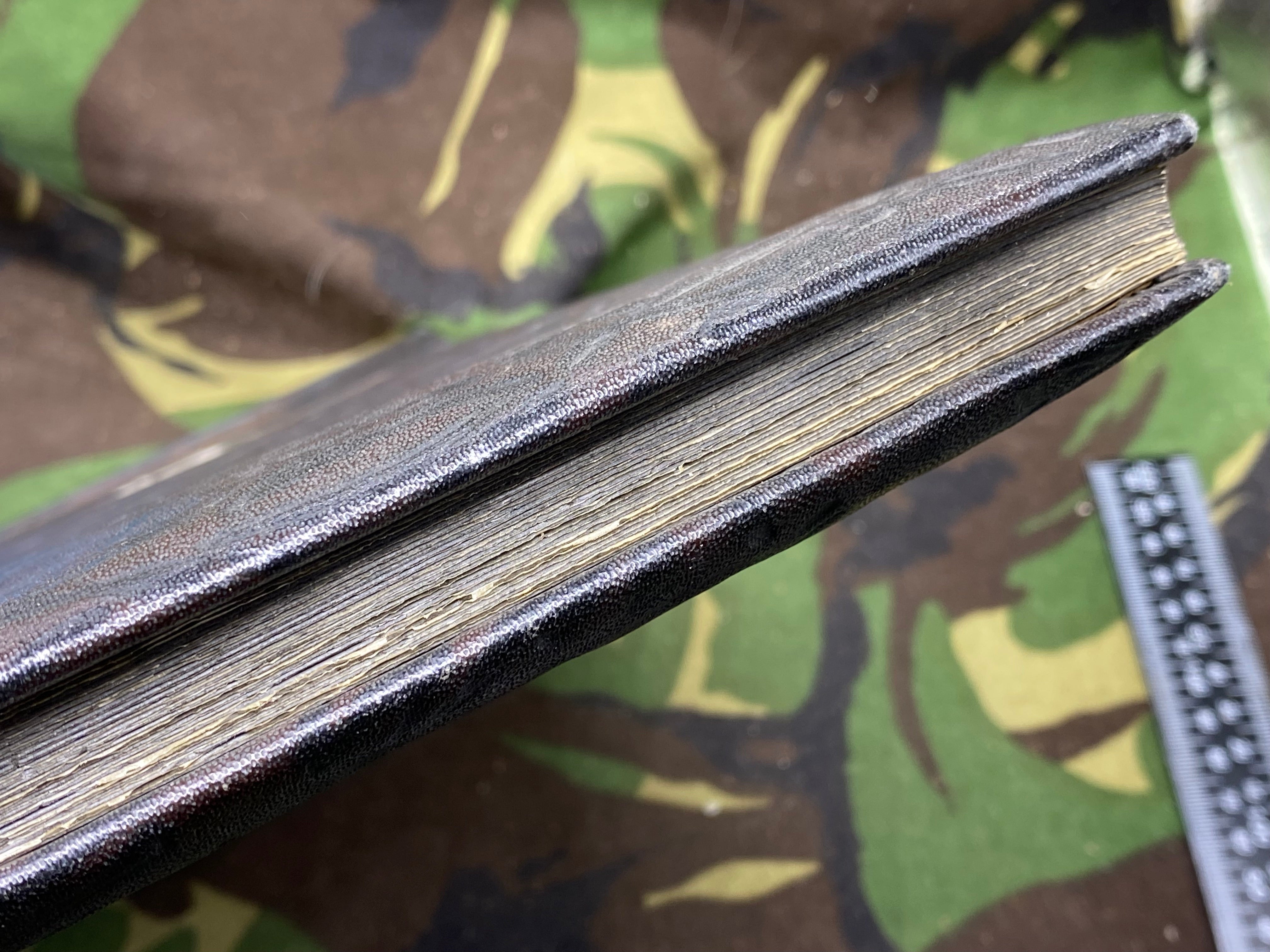 A WW2 German Army RAD Soldier's Photograph Album - excellent condition. - The Militaria Shop