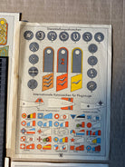 A group of original WW2 German Unit & Service Insignia Cards in colour. - The Militaria Shop