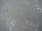 WW2 German Army DAF Mess Serving Porcelain Bowl - The Militaria Shop